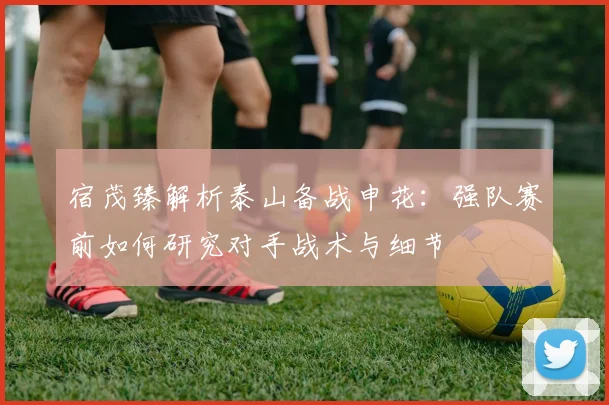 宿茂臻解析泰山备战申花：强队赛前如何研究对手战术与细节